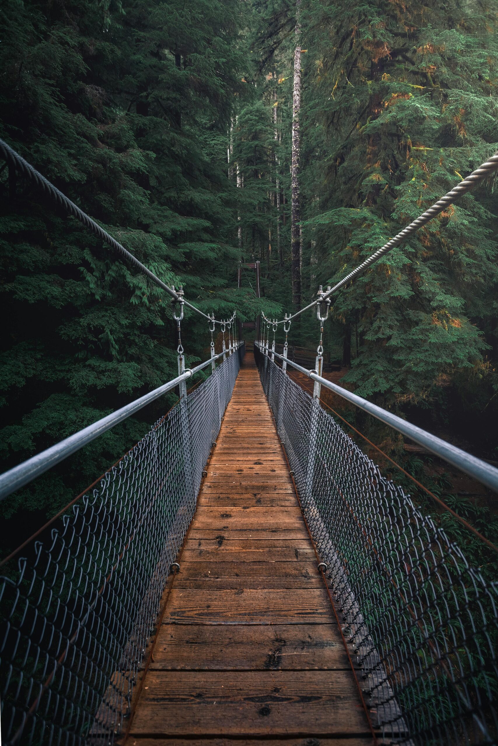 Nature bridge / venue