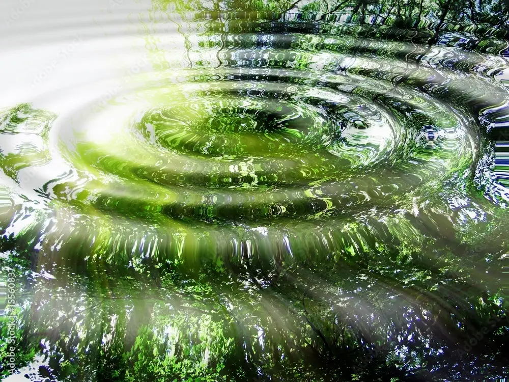 Reflection of forest and sun in water