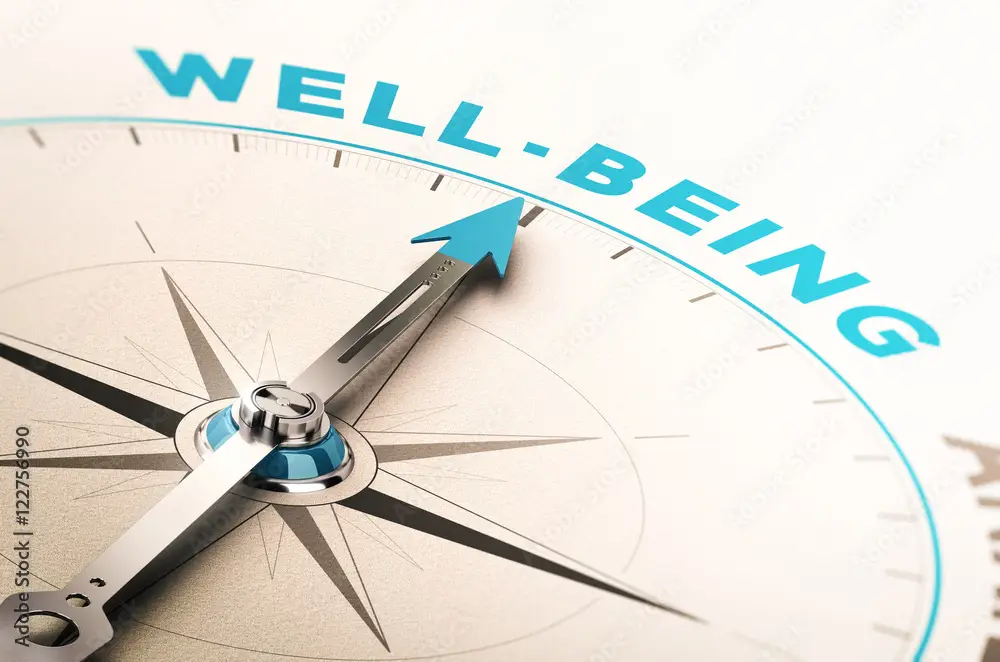 Well-being or wellness